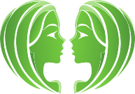 z_gemini.png (24,472 bytes)